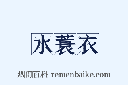 水蓑衣是什么意思的图片